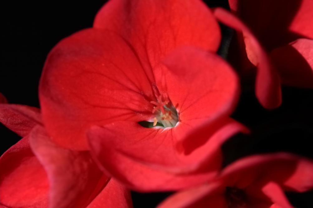 2012 03 08 8599e